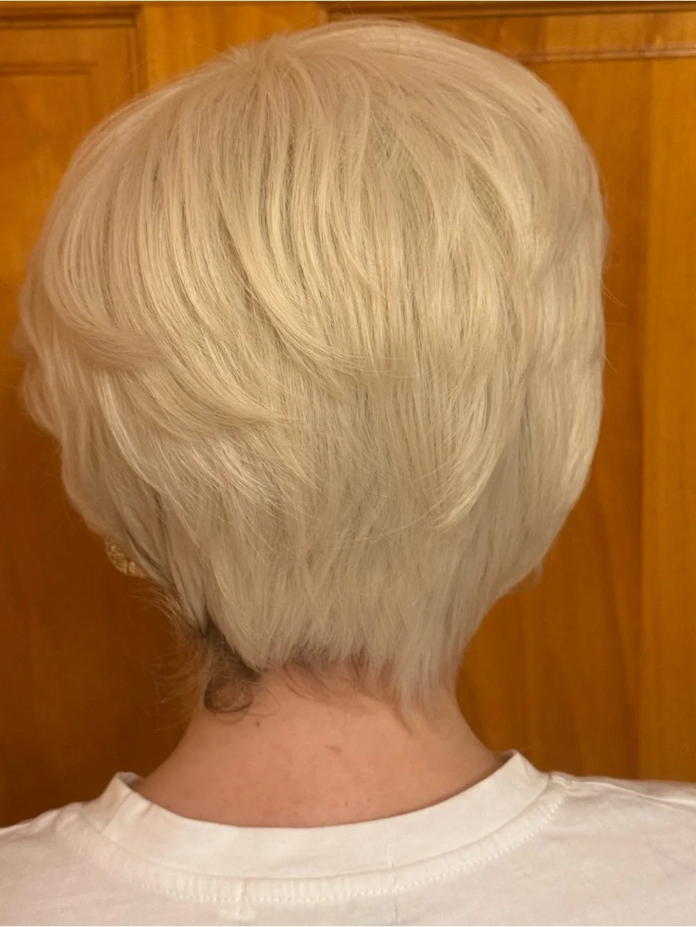 Short Layered Light Blond Synthetic Straight Wig Classic Cap One Size Natural